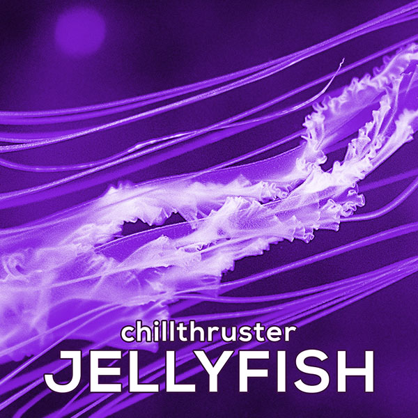 Chillthruster - Jellyfish Artwork